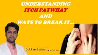 PRURITUS or ITCH PATHWAY and treatment of itch for residents  DrPRam Sushruth [upl. by Auhsot]