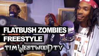 Flatbush Zombies freestyle  Westwood [upl. by Ihsoyim]