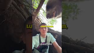 Bear Finds Man in his Cave 😨 animals shorts [upl. by Winchell]