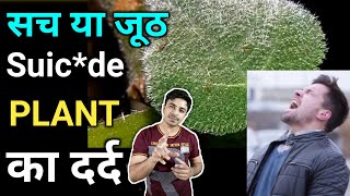 जान मांगने वाले पौधे का सच Gympie Gympie Plant Truth Jasstag [upl. by Hsepid]