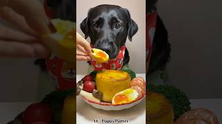 Breakfast Time puppy dog dogfood shorts ytshorts [upl. by Luwana]