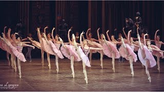 The Bolshoi Ballet in La Esmeralda performing [upl. by Mogerly]