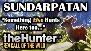 quotSOMETHING ELSE HUNTS HERE TOOquot  CRAZY TEASER TRAILER FOR THE NEW HUNTER CALL OF THE WILD RESERVE [upl. by Ahset177]