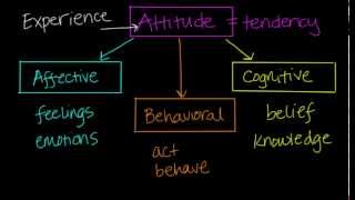 Components of Attitudes [upl. by Neelie]