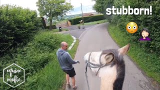 stubborn horse someone had to help me😳  GO PRO  equinemollie [upl. by Mccarty]