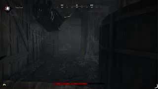 HUNT SHOWDOWN 189620241014011400 [upl. by Alolomo]