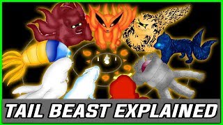 Tail beasts explained in Hindi  Explaining tail beast [upl. by Conlin79]