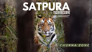 Satpura National Park  Churna Zone  Wildlife Safari [upl. by Dunstan801]