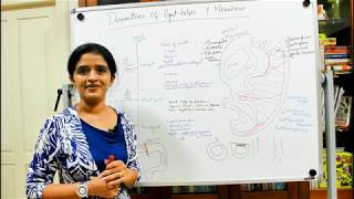 THE DERIVATIVES OF THE GUT TUBES AND THE MESENTERIESDEVELOPMENT OF THE GITPART 3DR ROSE JOSE MD [upl. by Oech172]