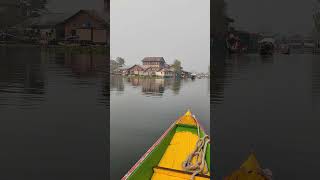 Dal Lake Srinagar [upl. by Koralie]