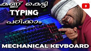 Learn Fast Typing  EvoFox Katana Pro TKL Best Budget Gaming Mechanical Keyboard Review [upl. by Herries984]