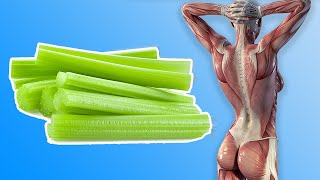 Eat Celery for a week and these 5 things will happen to your body [upl. by Llemej260]