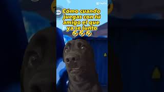 el que tiene 4 vendí 😂🤣😅jajajaja viral reels gratis bird viral [upl. by Naletak]