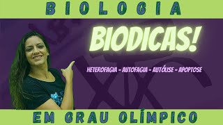 Biodica Heterofagia Autofagia Autólise e Apoptose [upl. by Erait]