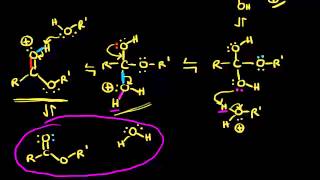 Preparation of esters via Fischer esterification  Organic chemistry  Khan Academy [upl. by Halland]