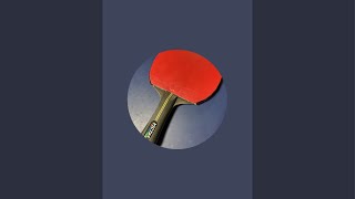 Table tennis 202410291 [upl. by Ennaira]