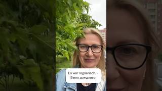 О погоде на немецком немецкийснуля startdeutsch1 daswetter [upl. by Jessi]