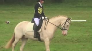 BE96 dressage test 208 with marks and comments [upl. by Nagel]