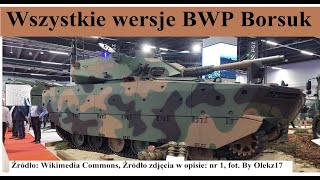 Wszystkie wersje BWP Borsuka [upl. by Yelknirb207]