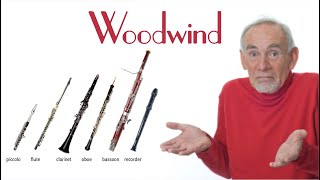 The Sections of the Orchestra Woodwind [upl. by Nidnal]