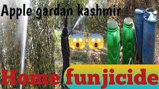 Fungicide had been done today‎Sidraajan subscribe me plz 🙏 home garden fungicide [upl. by Dennet446]