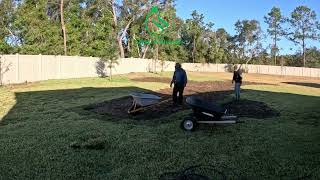 St Augustine Sod Repair Out with the Old In with the New [upl. by Ailina]