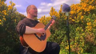 Hugh Joseph Feely  Beeswing Richard Thompson Cover [upl. by Nidnarb]