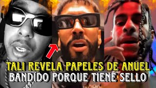 🔥 Tali Goya REVELA papeles de Anuel y le responde a Yovngchimi  Yovngchimi reacciona y advierte [upl. by Anavlys]