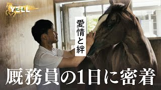 JRA70周年特番【YELL～馬とカケルミライ～】②栗東トレセンの厩務員の1日に密着！ [upl. by Walcoff216]