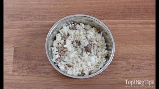 Homemade Dog Food for Struvite Bladder Stones [upl. by Kyl99]