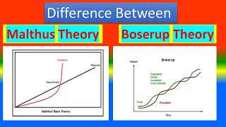 Difference Between Malthus Theory and Boserup Theory [upl. by Ellehsim]