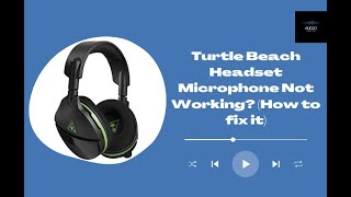 Turtle Beach Headset Microphone Not Working How to fix it [upl. by Ailecra]