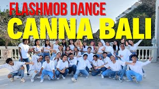 FLASH MOB DANCE BALI  EVENT GRAND OPENING CANNA BEACHCLUB BALI [upl. by Middendorf]