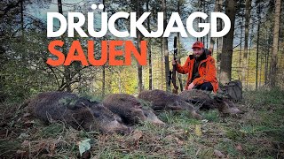 Jagd auf Jäger Tierschützer gegen Förster  SPIEGEL TV [upl. by Notlem64]