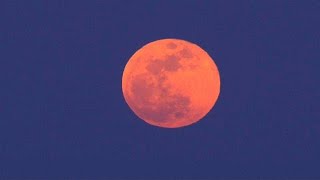 la Superluna blu si tinge di rosso [upl. by Ayahs]