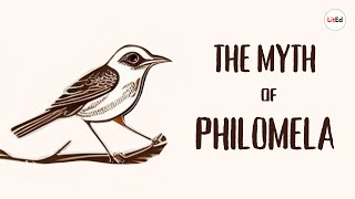 The Myth of Philomela  Ovids Metamorphoses [upl. by Netty]