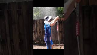 Satisfying Wood Fence Cleaning  Old To New shorts [upl. by Sonitnatsnok]