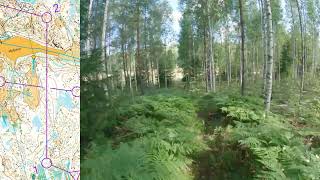 WMOC 2024 forest qualification M351  Orienteering Headcam video [upl. by Gninnahc183]