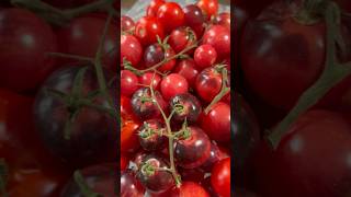 Conserva de tomates cherry 😍👏🏻 recetasmwc food recipe tomatoes [upl. by Ecidnacal]