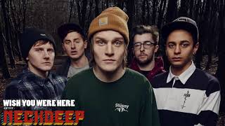 Neck Deep  Wish You Were Here  Lyrics accoustic [upl. by Zehe2]