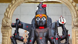 🙏🚩🔱Sri Astakaalbhairava Abhishekam 🔴 Live Darshan 🪔🕉️🔱 [upl. by Eniawtna268]