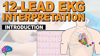 Introduction to Concepts of 12Lead EKG Interpretation [upl. by Dittman321]