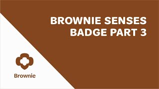 Brownie Senses Badge Part 3 [upl. by Nanon]