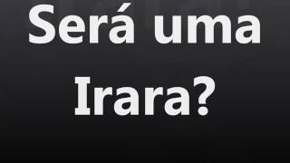 Será esse animal uma Irara [upl. by Nnahtebazile]