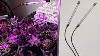 LED grow lights for succulents  yeah or nay [upl. by Kristine]