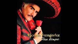 Vicente Fernandez Los Cazahuates [upl. by Ttik72]