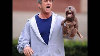 The Beaver Starring Mel Gibson  Movie Review [upl. by Giacinta]