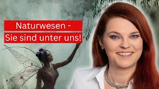 Mystische Wesen  die Rückkehr der Naturwesen endlich [upl. by Aoht]