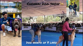 Chennai Dog show  8 lakh rs dog  Surprise element  Ajay Immanuel [upl. by Naeroled]