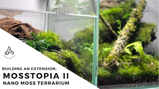 Building a closed nano moss terrarium extension [upl. by Ylime972]